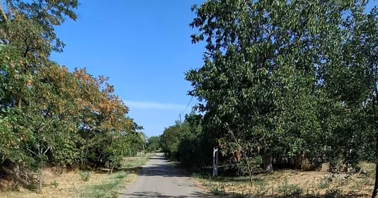 Teren Călacea