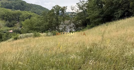 Teren Meteș
