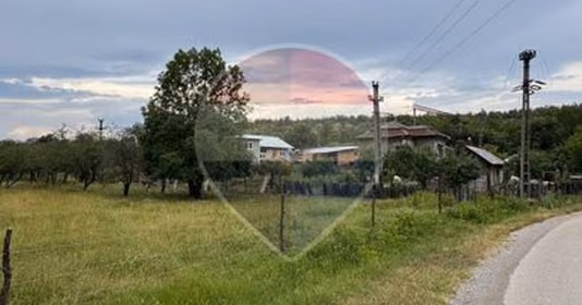 Teren Balota
