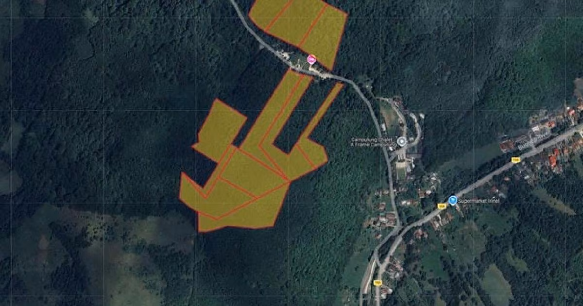 Teren de vânzare de 171640 mp, în Bughea de Sus