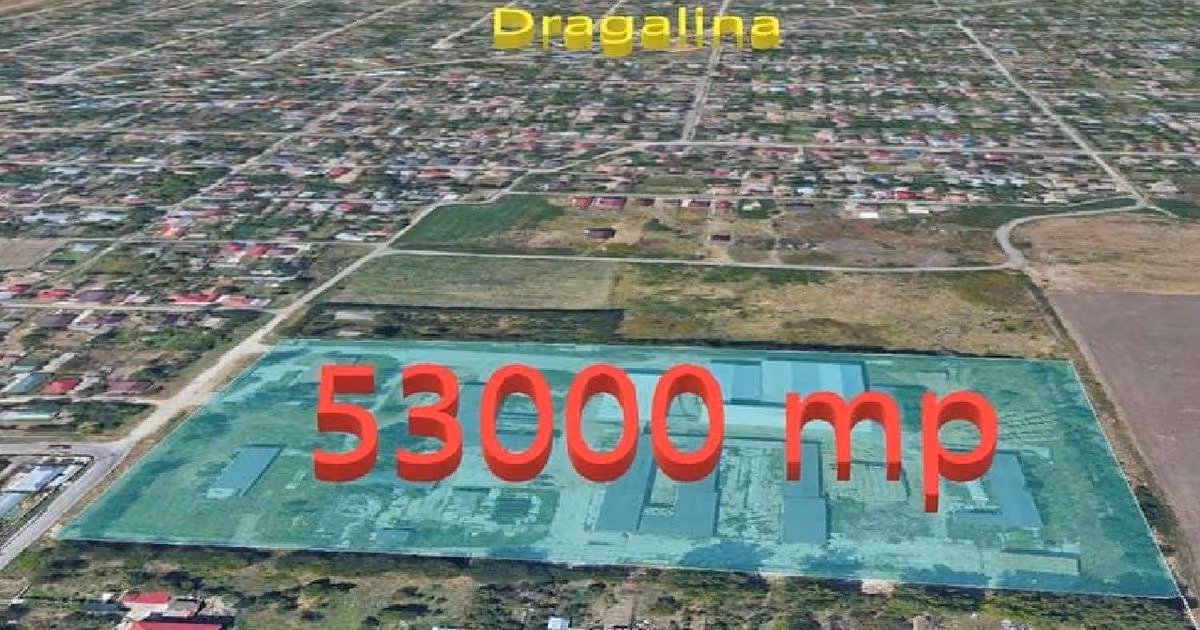 Spațiu industrial de vânzare în Dragalina