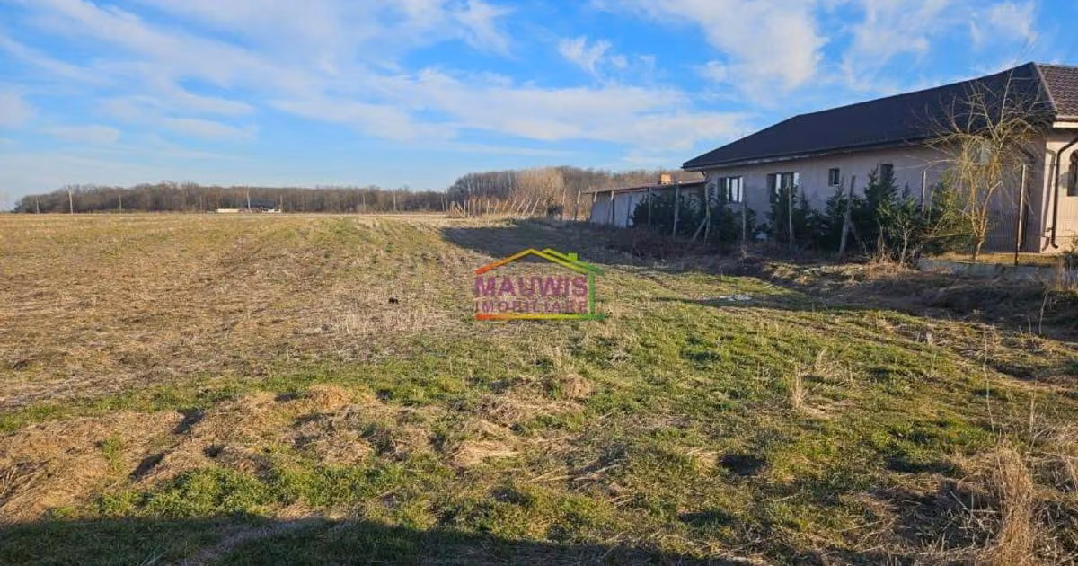 Teren intravilan de vânzare în Măgurele