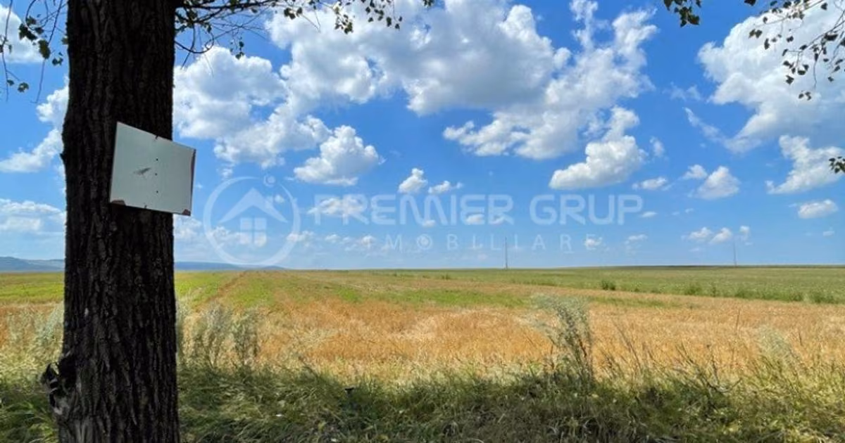 Teren agricol extravilan de vânzare de 7000 mp, în Miroslava