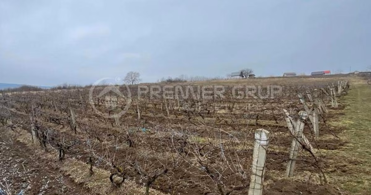 Teren Construcții intravilan de vânzare de 4209 mp, în Tomești