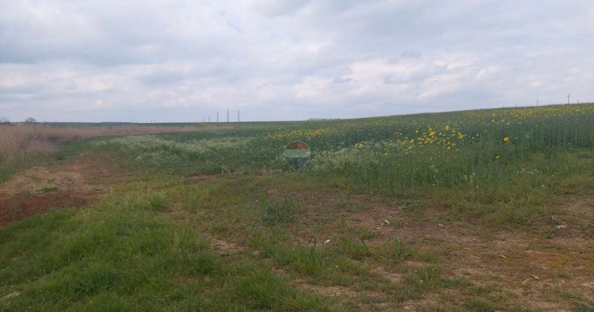 Teren Construcții intravilan de vânzare de 12984 mp, în Balotești