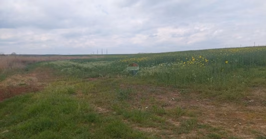 Teren Balotești