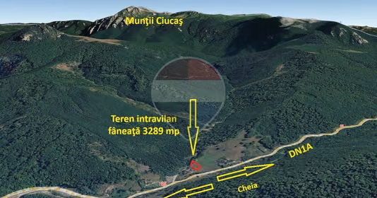 Teren Babarunca