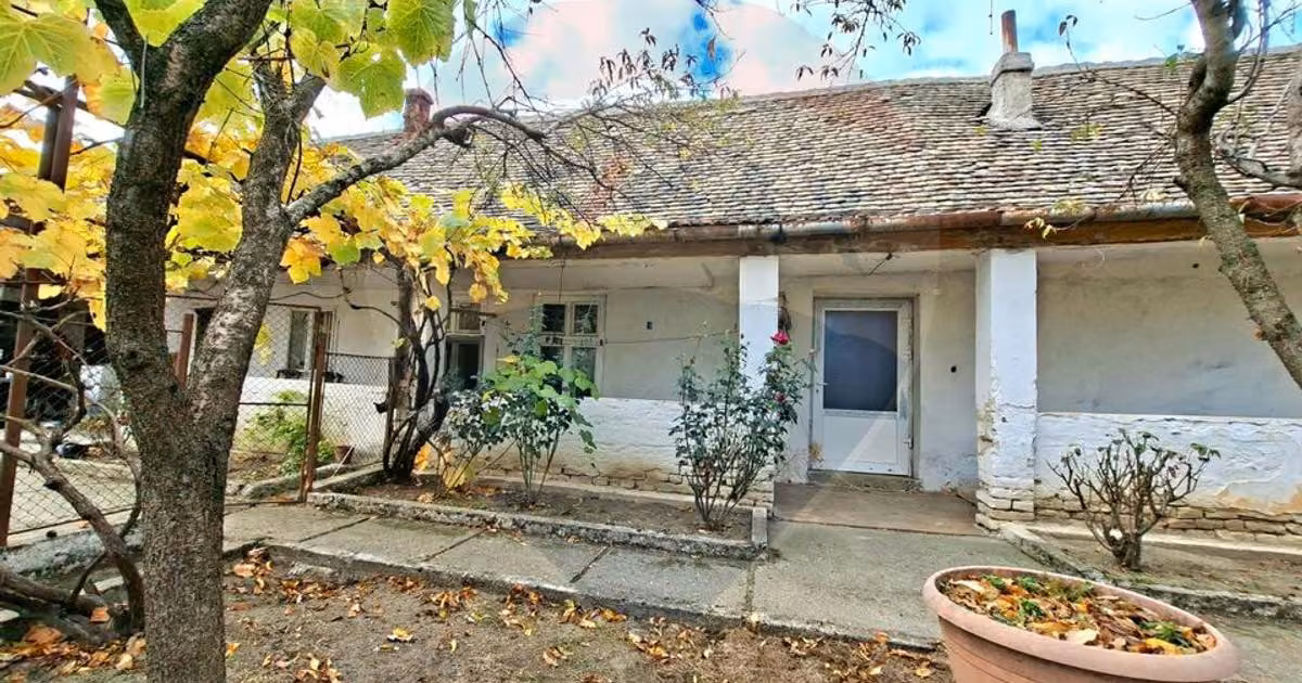 Casă individuală de vânzare cu 2 camere în Vladimirescu