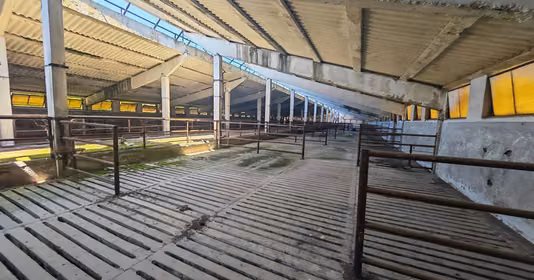 Spațiu comercial Orțișoara