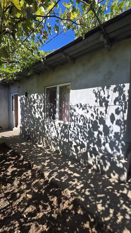Casă Tineretului