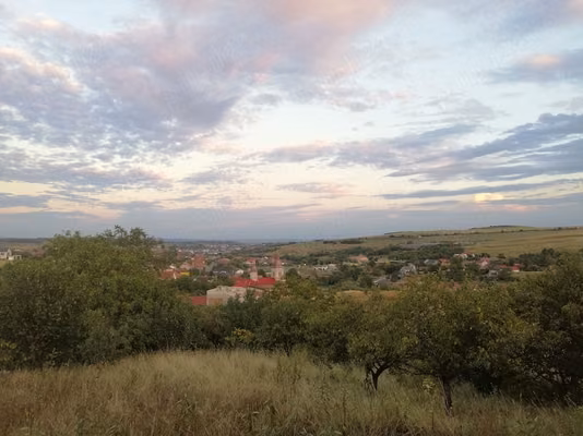 Casă Copaceni