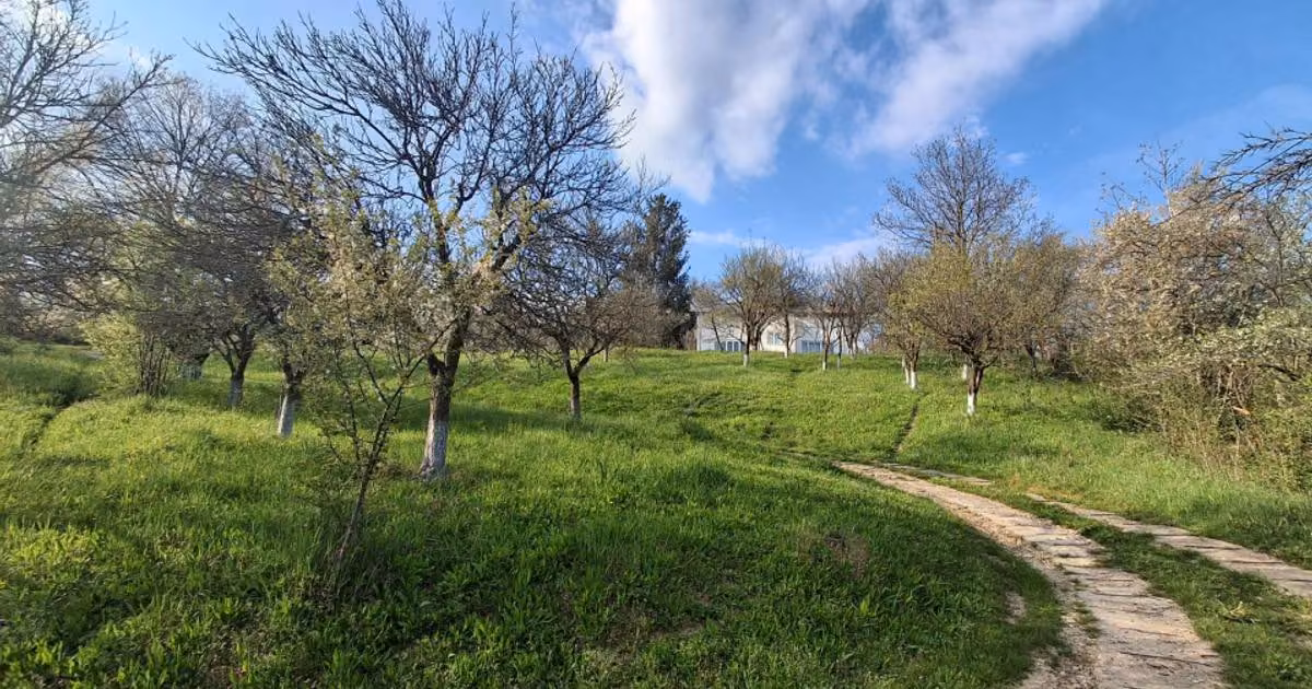 Casă individuală de vânzare cu 5 camere în Câmpina