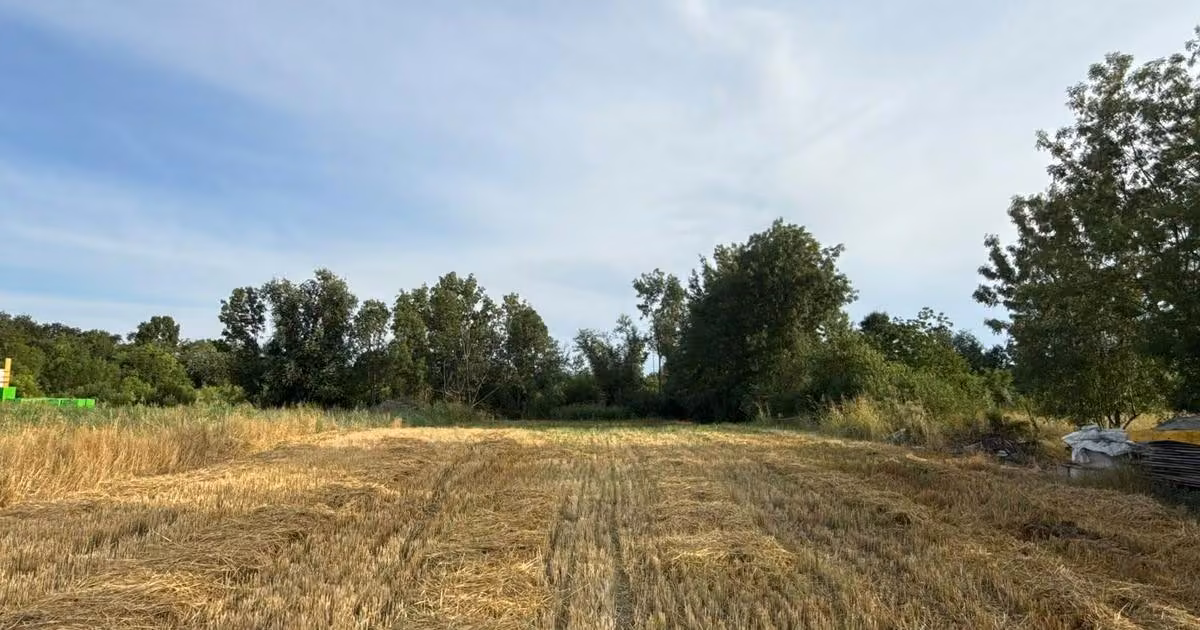 Teren Construcții intravilan de vânzare de 801 mp, în Jebel