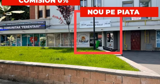 Spațiu comercial Tineretului