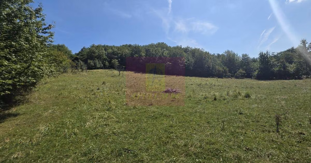 Teren Construcții intravilan de vânzare de 2500 mp, în Bănești