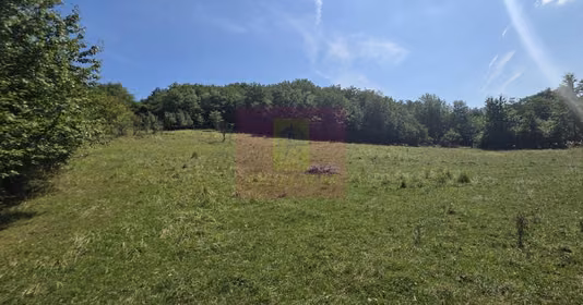 Teren Bănești
