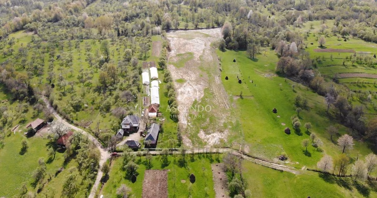 Teren Construcții extravilan de vânzare de 19356 mp, în Breb