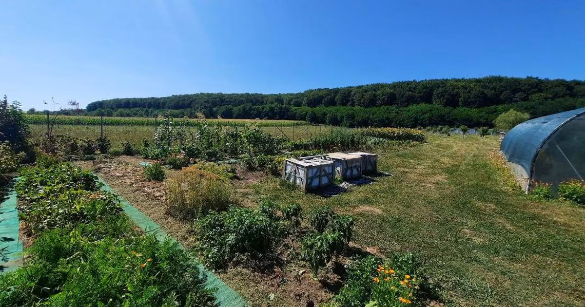 Casă individuală de vânzare cu 5 camere în Bodești