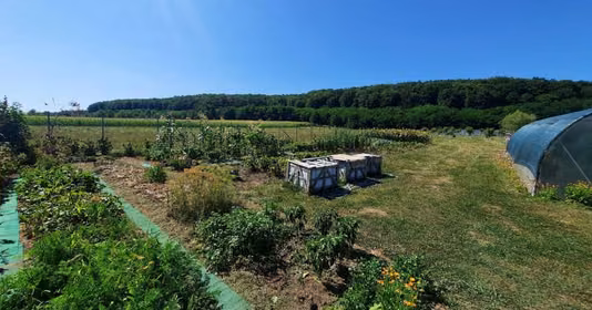 Casă Bodești