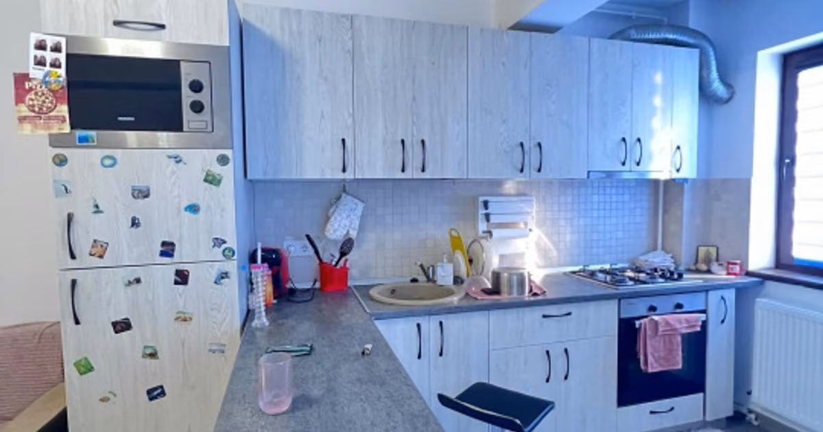 Apartament de vânzare cu 2 camere, mobilat în Bragadiru