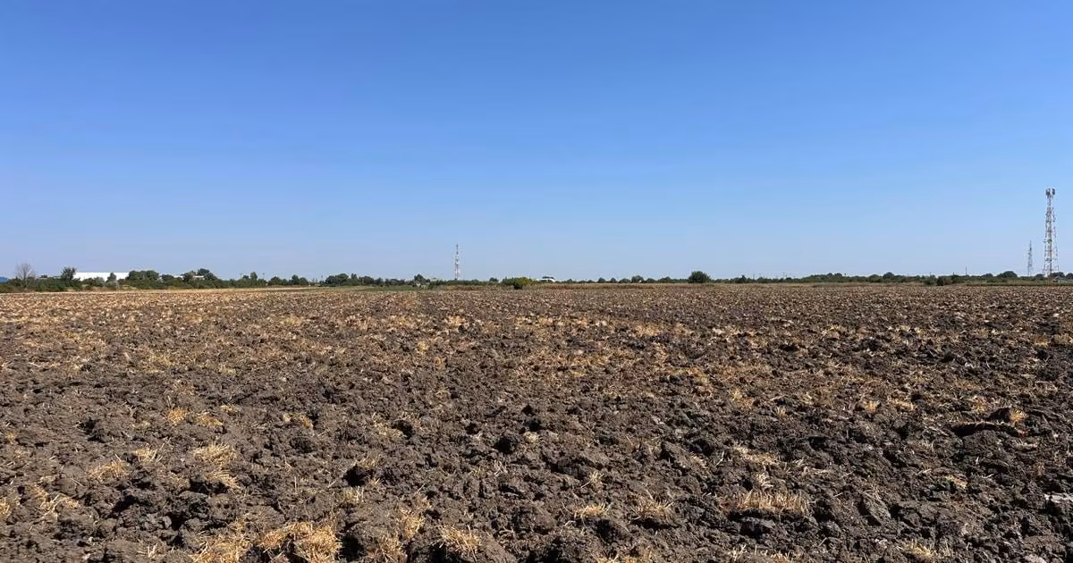 Teren Construcții intravilan de vânzare de 5600 mp, în zona Periferie, Focșani