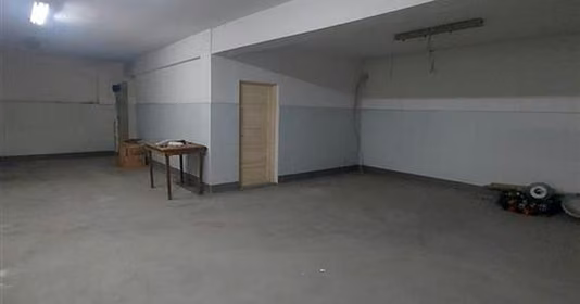 Spațiu comercial Nufărul