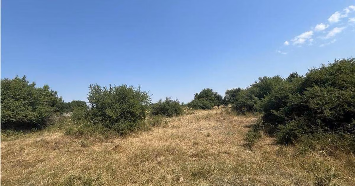 Teren Construcții intravilan de vânzare de 2337 mp, în Tileagd