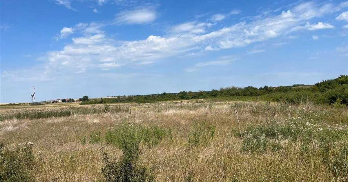 Teren Construcții intravilan de vânzare de 39000 mp, în Leș