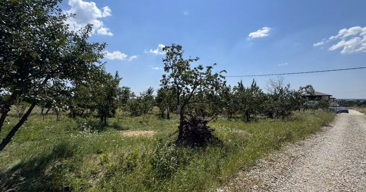 Teren Construcții intravilan de vânzare de 565 mp, în Cocoșești