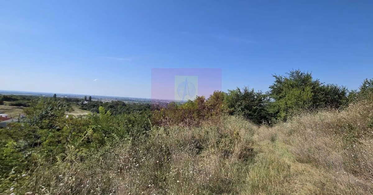 Teren Construcții intravilan de vânzare de 4029 mp, în Boldești-Scăeni