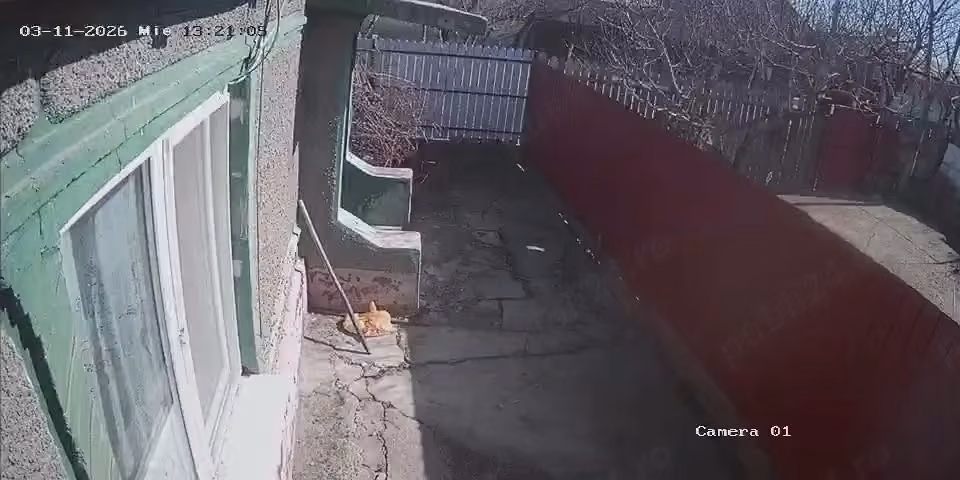 Vand casa sau schimb cu apartament Braila