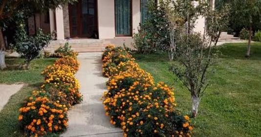 Casă Domnești