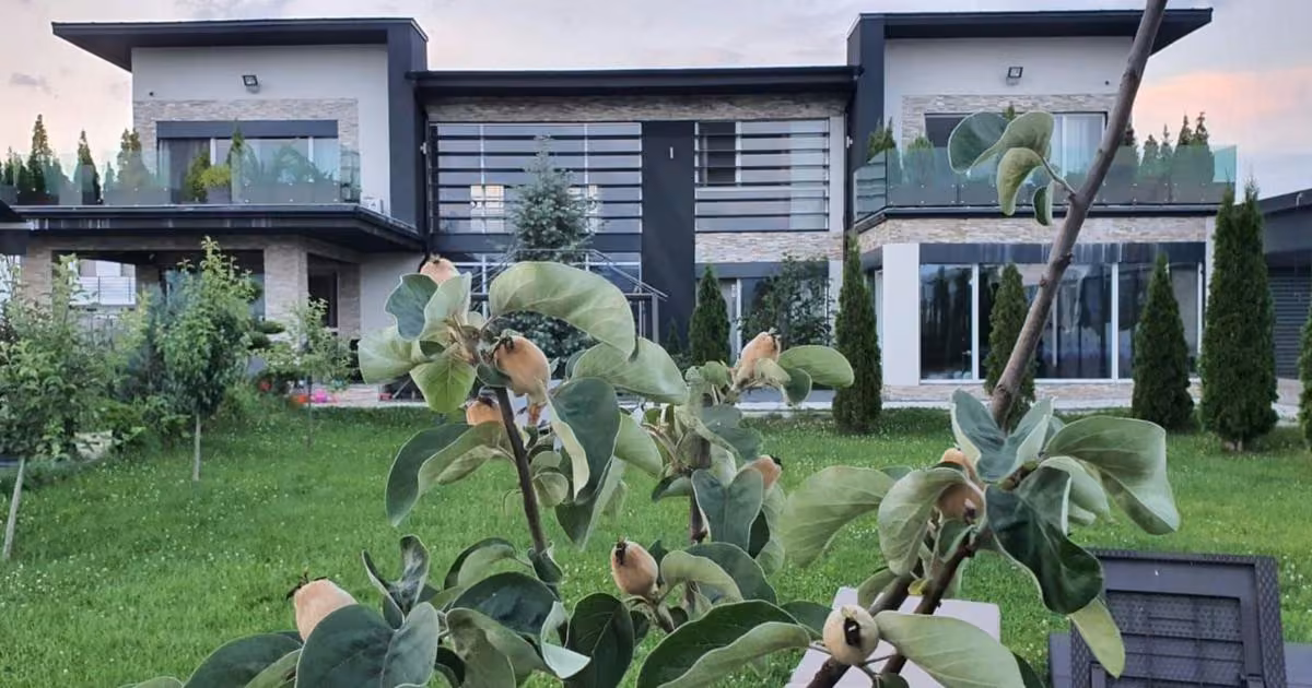 Casă individuală de vânzare cu 6 camere în zona Turnișor, Sibiu