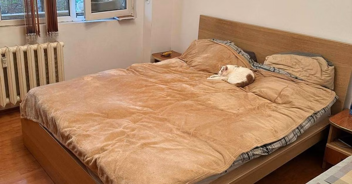 Apartament de vânzare cu 3 camere în zona Alexandru Obregia, Sector 4