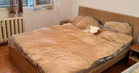 Apartament Berceni