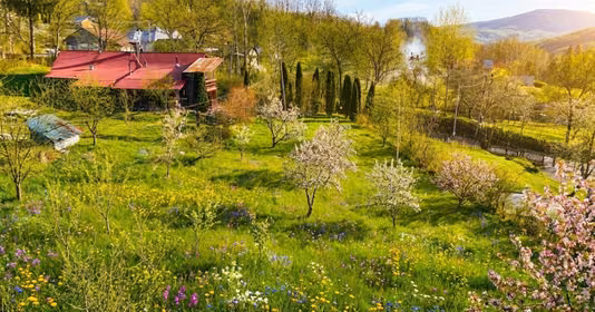 Teren Slănic