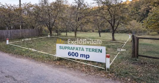 Teren Lăbușești