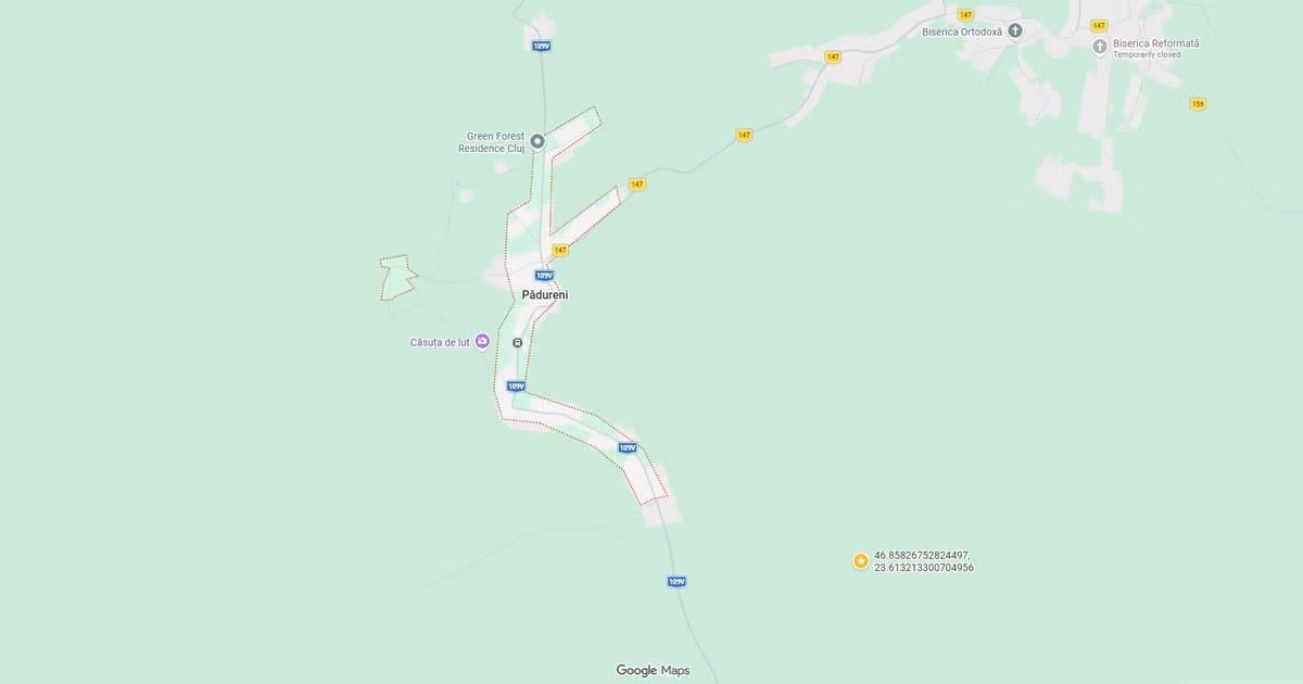 Teren Construcții intravilan de vânzare de 4300 mp, în Pădureni (Chinteni)