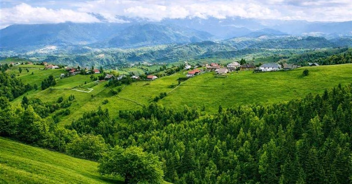 Teren Construcții intravilan de vânzare de 6966 mp, în Bran