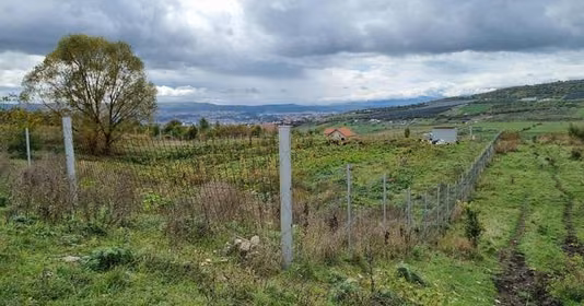 Teren Mărăști