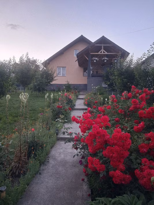 Apartament Sarca