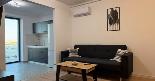 Apartament Theodor Pallady