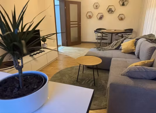 Apartament Sagului