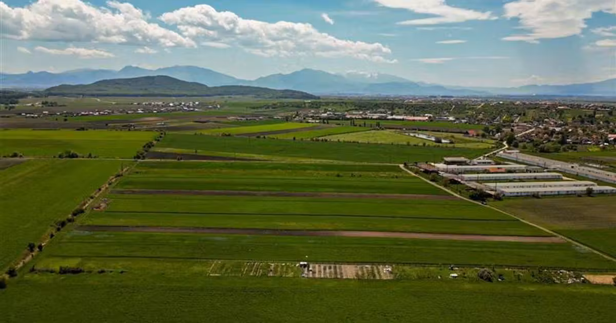 Teren extravilan de vânzare de 5000 mp, în Bod