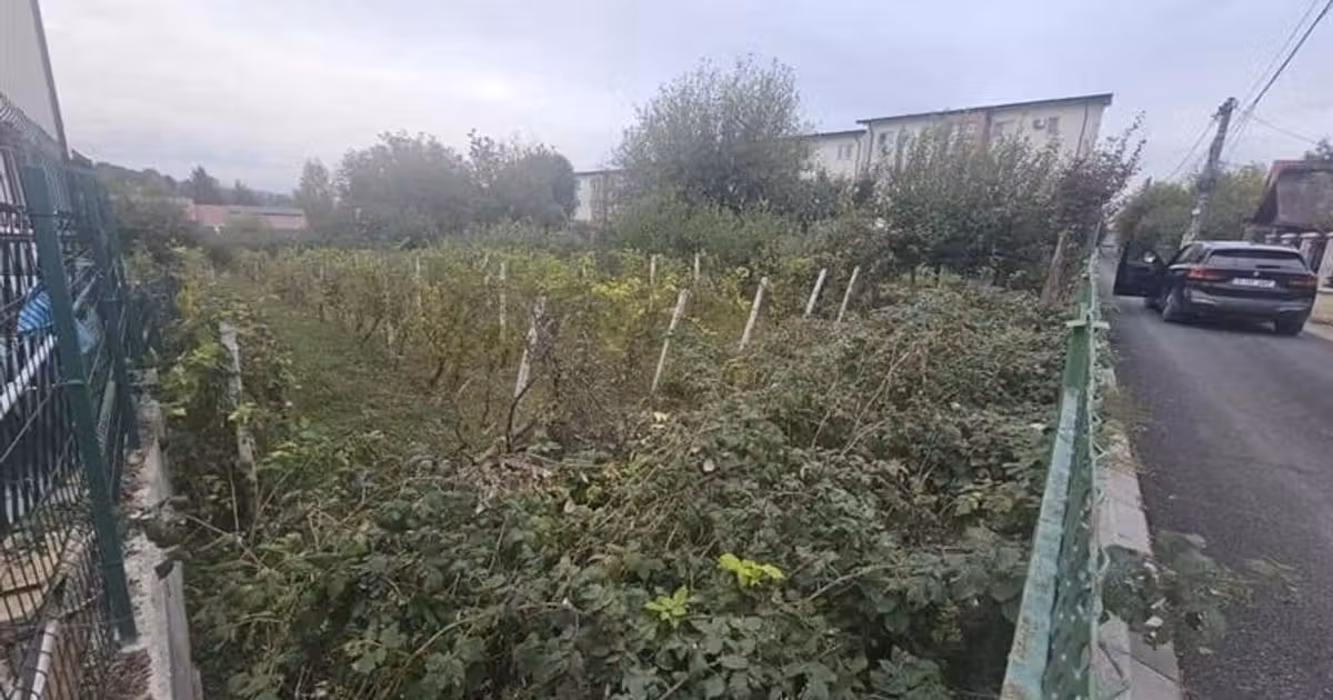 Teren Construcții intravilan de vânzare de 400 mp, în Iași
