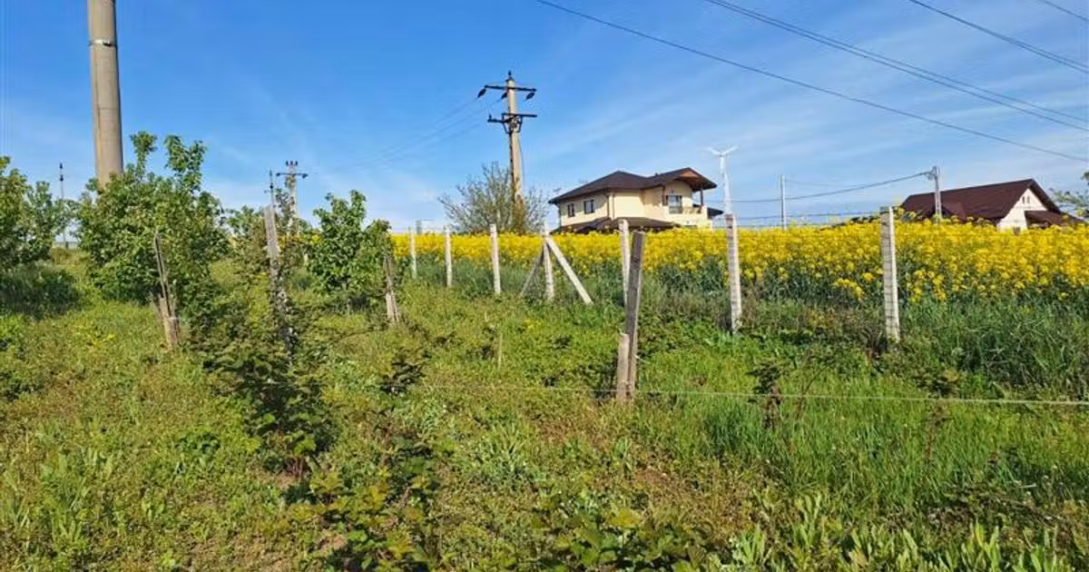 Teren Construcții intravilan de vânzare de 875 mp, în Iași