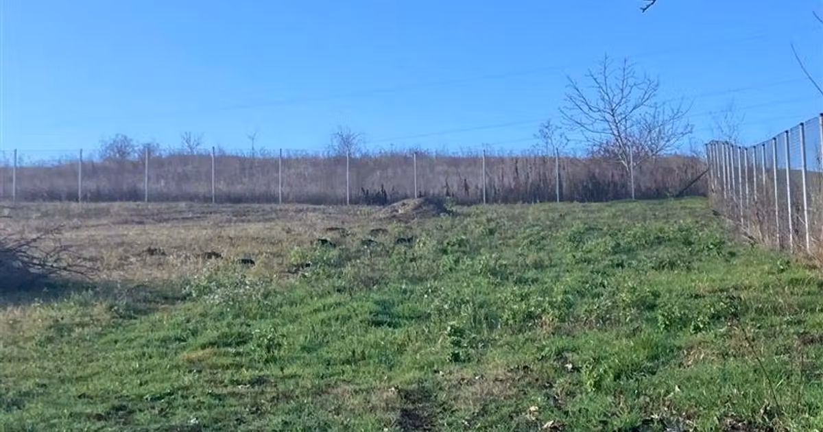 Teren extravilan de vânzare de 2500 mp, în Iași