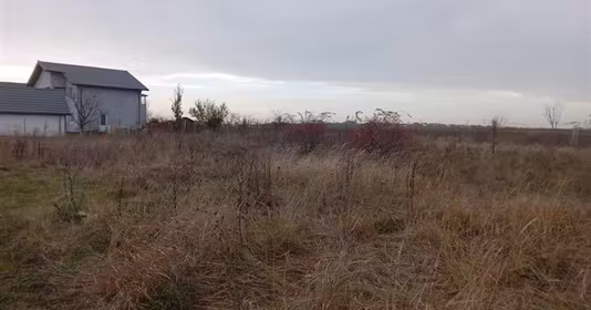 Teren Rediu