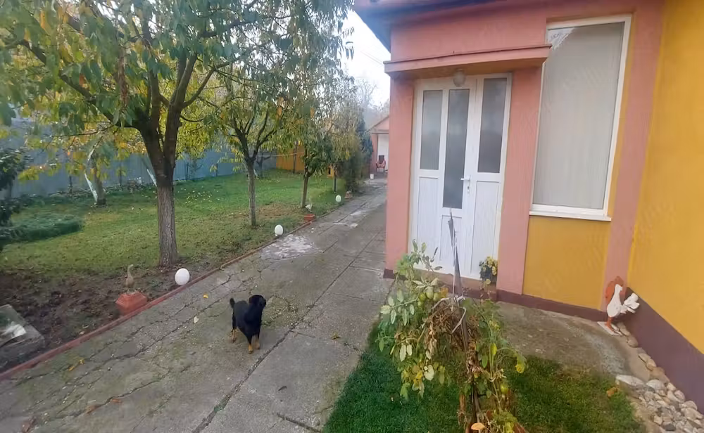 Casa individuala 4 camere si garaj in Pischia amenajata mobilata utilata pozitie excelenta