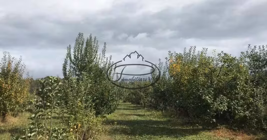 Casă Voinești